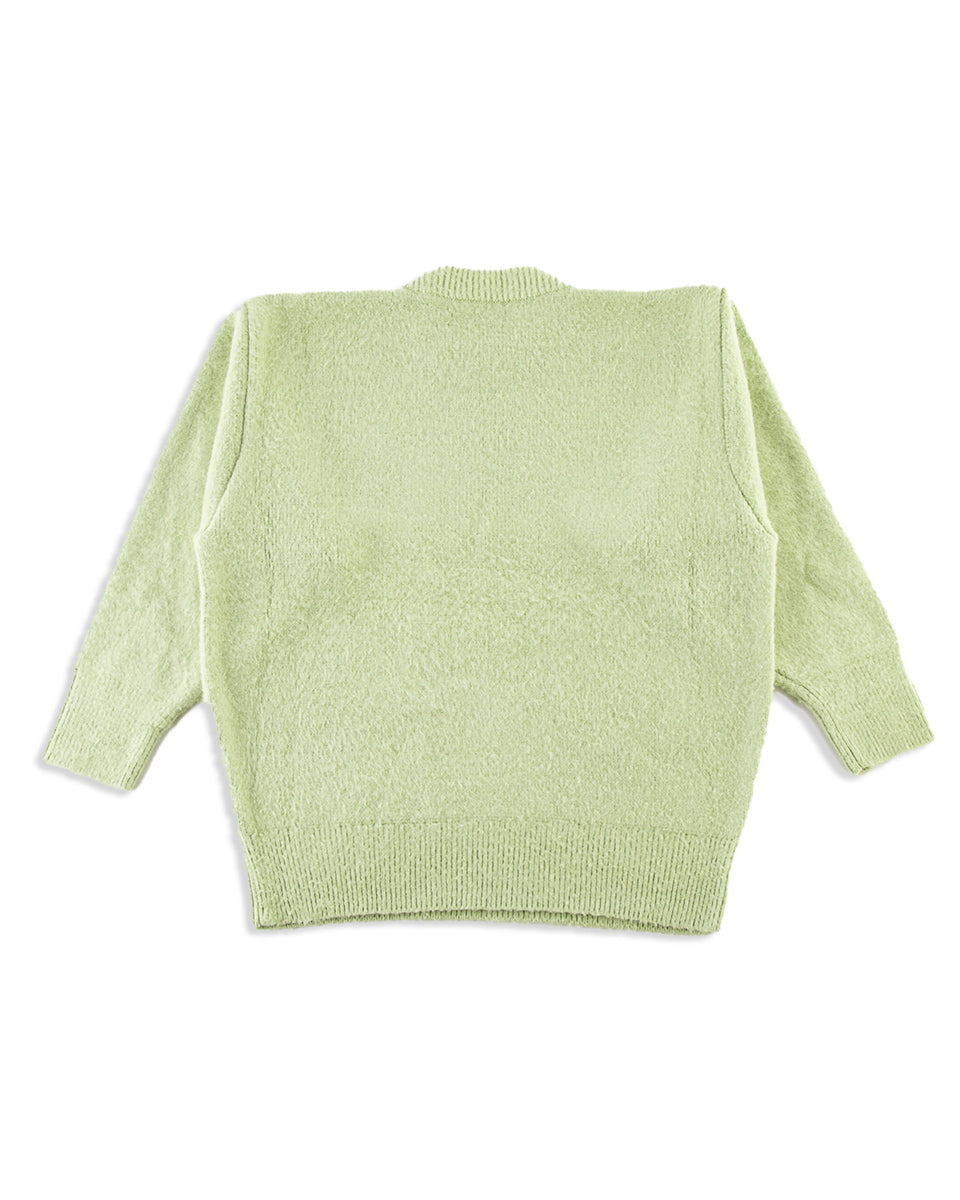 Olde H & Daughter Silk Shaggy Dog Pullover - Pistachio - Standard & Strange